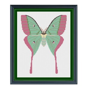 May include: A framed cross-stitch pattern of a green and pink luna moth with long, trailing tails.