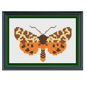 May include: A cross-stitch pattern of a butterfly with orange, brown and white wings. The butterfly is framed in a dark green and black frame.