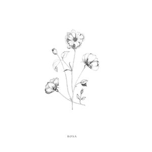 Impresión de tinta de rosa salvaje, impresión de rosas en blanco y negro, arte de pared de flores silvestres, impresión digital de dibujo de tinta, decoración de póster de rosas, impresión de ramo floral