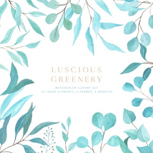 Watercolor Greenery Clipart, Floral Clipart, Botanical Clipart, Watercolor Botanical Clipart, Digital Clipart, Clipart png, Wedding invites