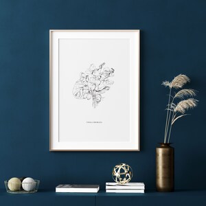 Violet Poster Digital Download,  Violets Botanical Illustration, Transparent Background, Violets PNG, Flower Violets png. Wild Flower poster