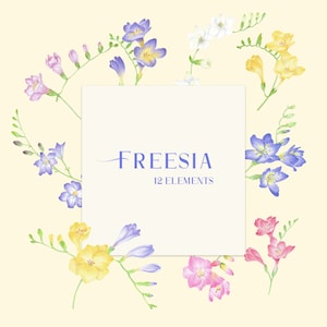 Watercolor Freesia Clipart, Digital Freesia Illustration, Freesia png, Freesia bouquet, Botanical wreath, Flower elements, Wedding DIY