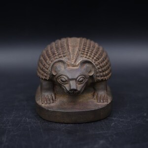 Ancient Egyptian Hedgehog-Egyptian Echinacea (Echinacea Egyptiana). The most famous types of sources-ancient Egyptian mythology