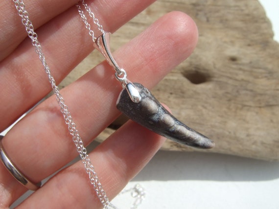 Lucky Bone Charm Necklace - Cast Silver or Bronze Horseshoe Crab Claw – HKM  Jewelry