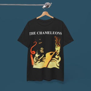 The Chameleons post punk