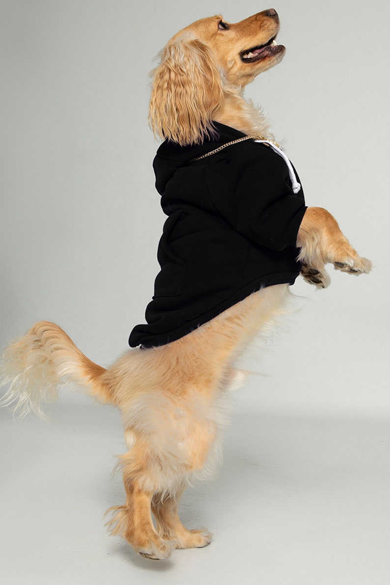 Matching Pet and Owner Set Pet Owner Matching Clothes Dog Etsy