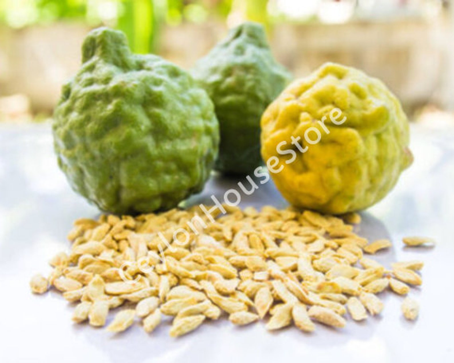 Kaffir Lime Kaffir Lime Seedsthai Limes Seeds Etsy