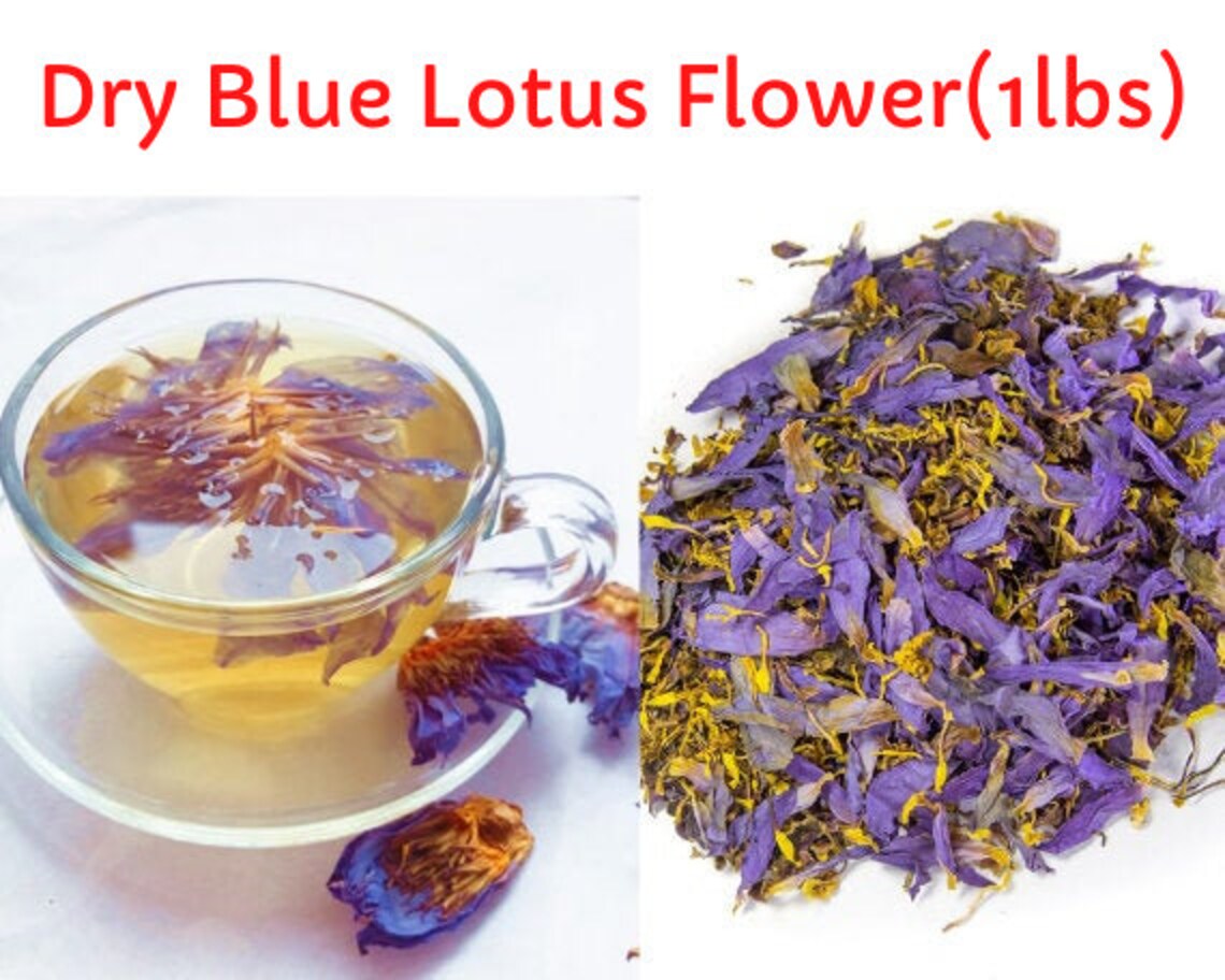 Dry Blue Lotus Flower Bulk Packnymphaea Caerulealucid Etsy UK