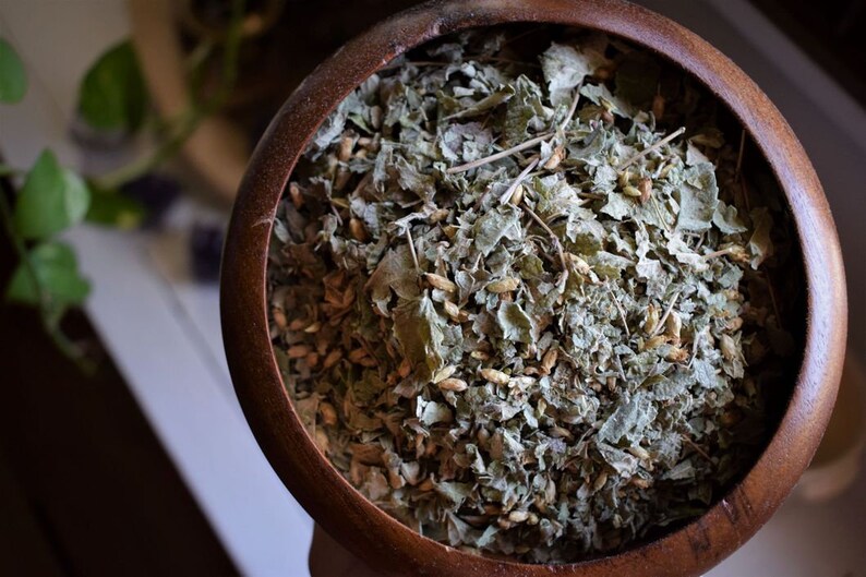 Dried Organic Dream Herb mexican calea Etsy Australia