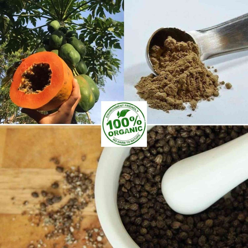 High Quality Organic Dried Papaya Seeds and Powder From Ceylon Etsy