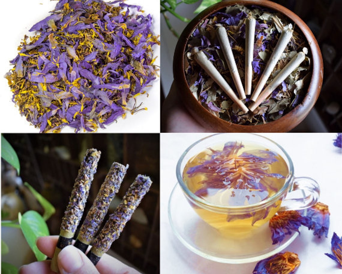 Organic Dried 100 Pure Blue Lotus Nymphaea Caerulea Flower Etsy