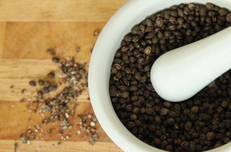 High Quality Organic Dried Papaya Seeds and Powder From Etsy