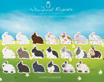 Netherland Dwarf Bunny Sticker for Tumbler, Cute Rabbit Decal for Laptop, Bunny Mom Gift, Bunny Memorial Gift,Harlequin Bunny Gift for Girls