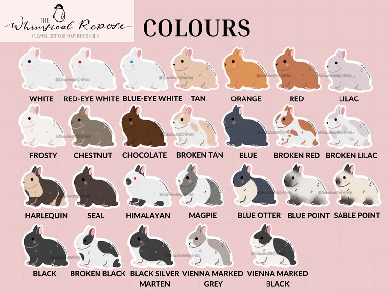 Pode incluir: Gr&aacute;fico de cores de coelho com ilustra&ccedil;&otilde;es de coelhos de diferentes cores. As cores incluem branco, branco de olhos vermelhos, branco de olhos azuis, castanho, laranja, vermelho, lil&aacute;s, geada, castanho, chocolate, castanho partido, azul, vermelho partido, lil&aacute;s partido, arlequim, foca, Himalaia, pega, lontra azul, ponto azul, ponto sable, preto, preto partido, marta prateada preta, cinzento marcado Viena e preto marcado Viena.