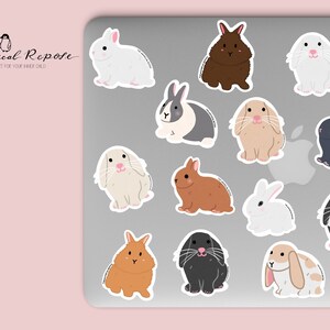 Pode incluir: Um conjunto de 12 adesivos de coelhos com diferentes ra&ccedil;as e cores. Os adesivos est&atilde;o em um laptop prateado. Os adesivos s&atilde;o perfeitos para adicionar um toque de fantasia ao seu laptop, garrafa de &aacute;gua ou planejador.