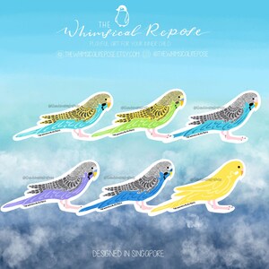 Budgerigar (Budgies) Die Cut Vinyl Sticker, Bird Breed Waterproof Laptop Decal, Animal Lover Pet Owner Gift, Gift for Bird Lovers