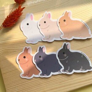 Pode incluir: Seis adesivos de coelhos de desenho animado ador&aacute;veis com diferentes cores de p&ecirc;lo, incluindo branco, castanho claro, laranja, cinzento e preto. Os adesivos est&atilde;o sobre uma superf&iacute;cie de madeira castanho claro. O texto "@thewhimsicalrepose" est&aacute; no canto superior direito da imagem.