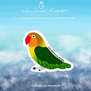 Fischer Lovebird Sticker for Tumbler, Bird Mom Gift, Cute Lovebird Decal for Laptop, Lovebird Gifts for Her, Parrot Memorial Keepsake Gift
