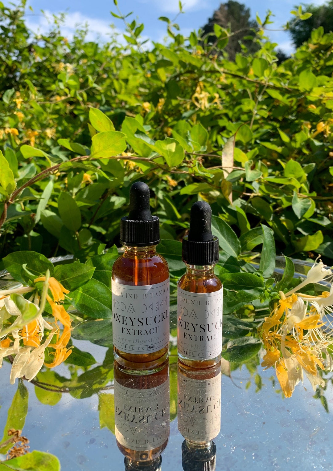 Japanese Honeysuckle Tincture Herbal Supplement 2oz Etsy