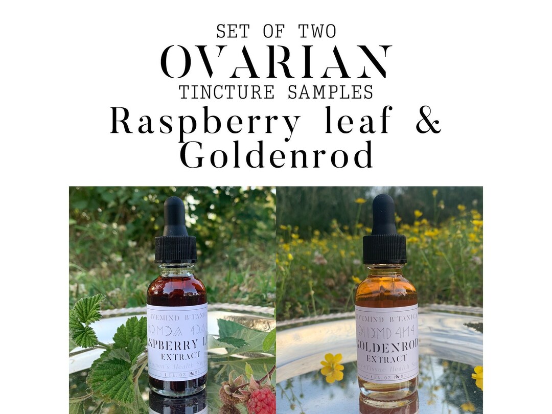 Ovarian Red Raspberry Leaf & Goldenrod Set of 2 Herbal Tinctures