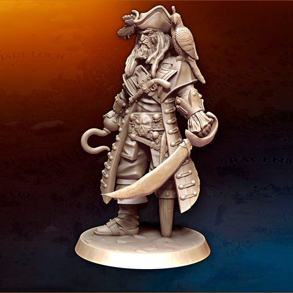 mini figurine de pirate , Hudson The Kraken Ainsworth v1 - Pour D&D Dungeons and Dragons , Jeux de table