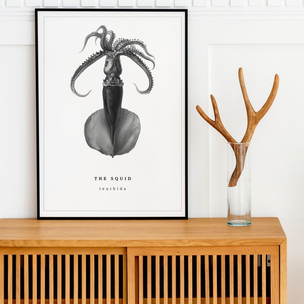 Squid Art Print, INSTANT DOWNLOAD, Minimalist Beach Decor, Home Art Decor wall, Ocean Art, Nautical Print, Sea Life Art, Simple Prints