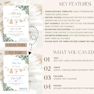 Gender Neutral Baby Shower Invitation, Canva Baby Clothes Baby Shower Editable Template, Baby Brunch Neutral Eucalyptus Printable Invite image 2