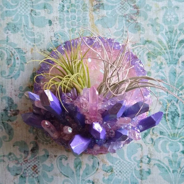 Quartz Crystal Geode Air Plant Home- Wall Hanging