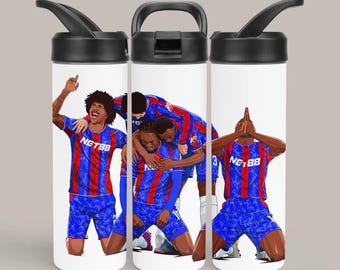 Palace Cup Winners tumbler/ aluminium water bottle