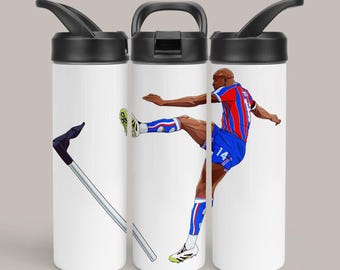 England Euro ‘96 tumbler/ aluminium water bottle