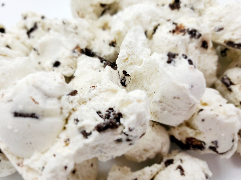 14 oz Freeze Dried Chocolate Chip Ice Cream Bulk Etsy