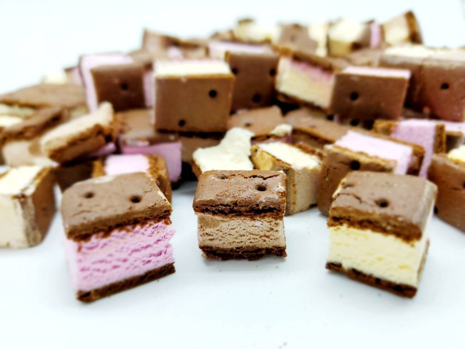 freeze dried ice cream neapolitan