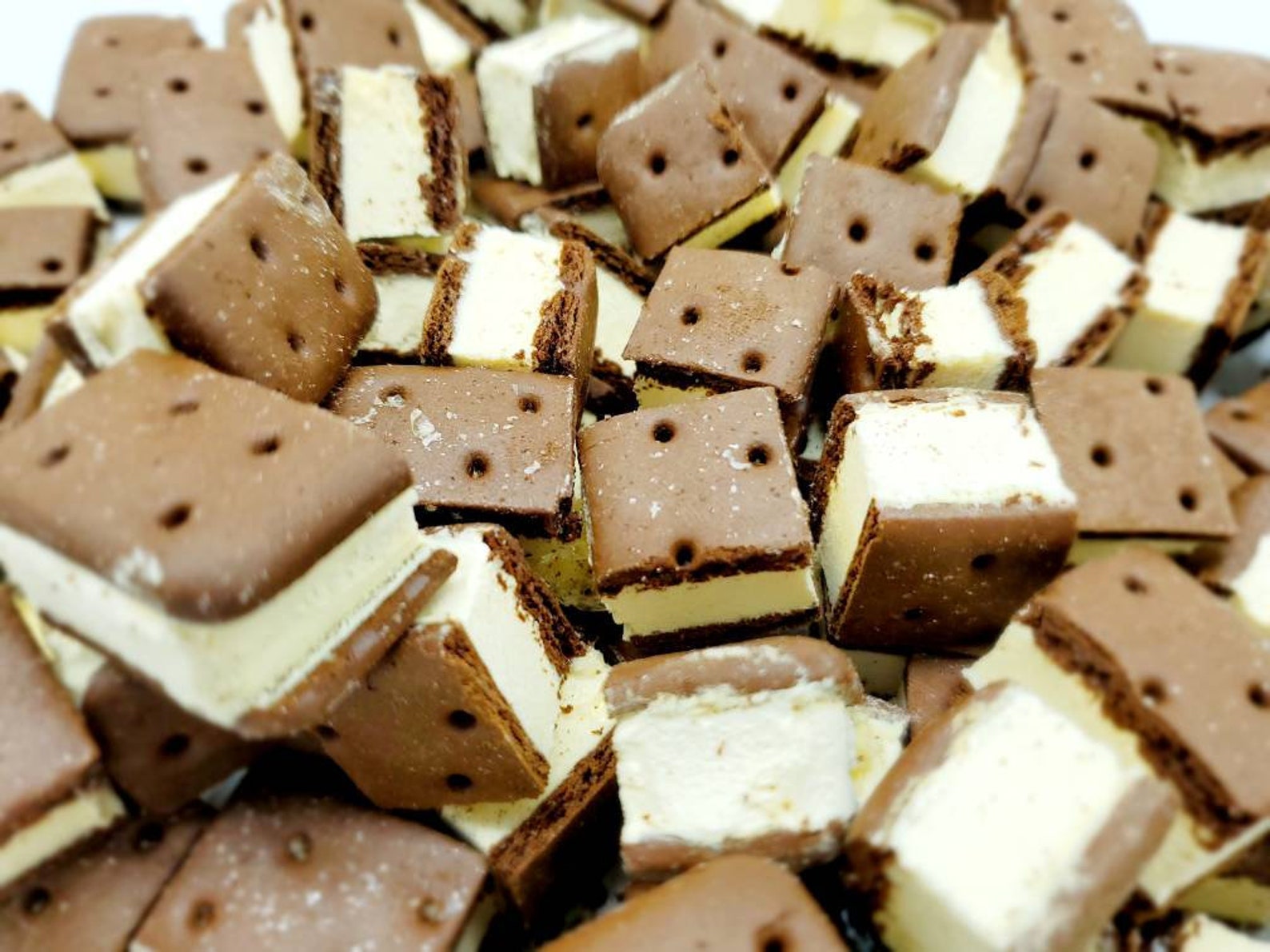 1 lb 16 oz Freeze Dried Ice Cream Sandwich Bites Bulk Etsy