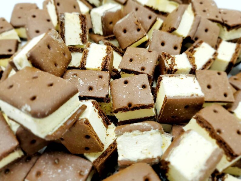 1/2 Oz Freeze Dried Ice Cream Sandwich Bites Sample Size Etsy