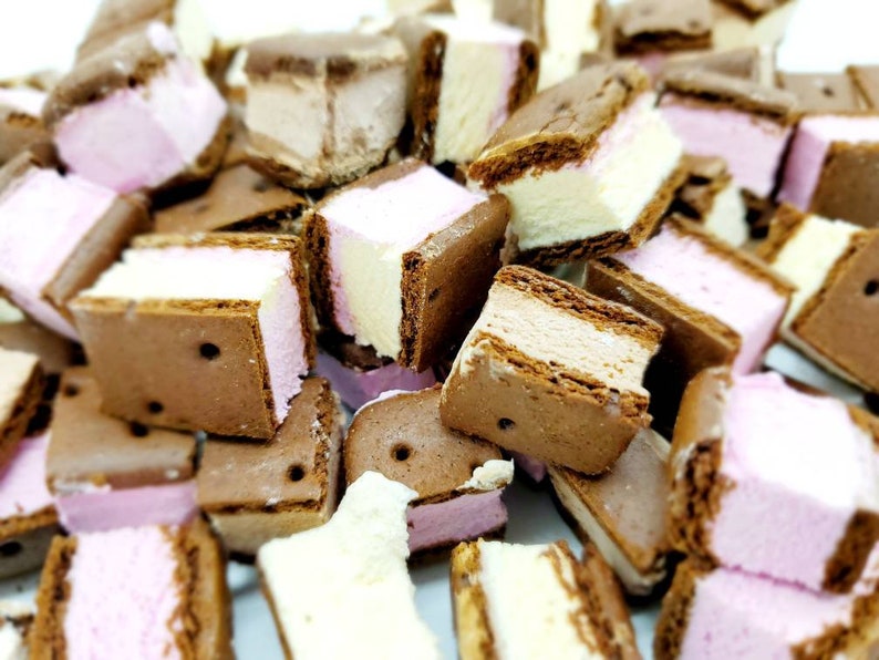 1/2 Oz Freeze Dried Neapolitan Ice Cream Sandwich Bites Etsy
