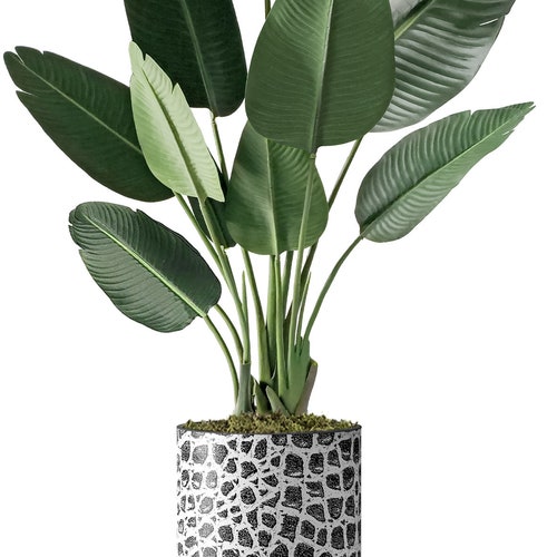 Artificial shops Tree in Modern Planter, Fake Bird of Paradise Silk Tree, Artificial Plant for Indoor and Outdoor Home Decoration