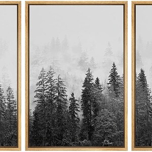 Signwin 3 Piece Framed Canvas Wall Art Black and White Forest Nature ...