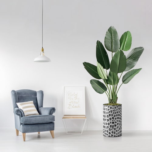 Artificial shops Tree in Modern Planter, Fake Bird of Paradise Silk Tree, Artificial Plant for Indoor and Outdoor Home Decoration