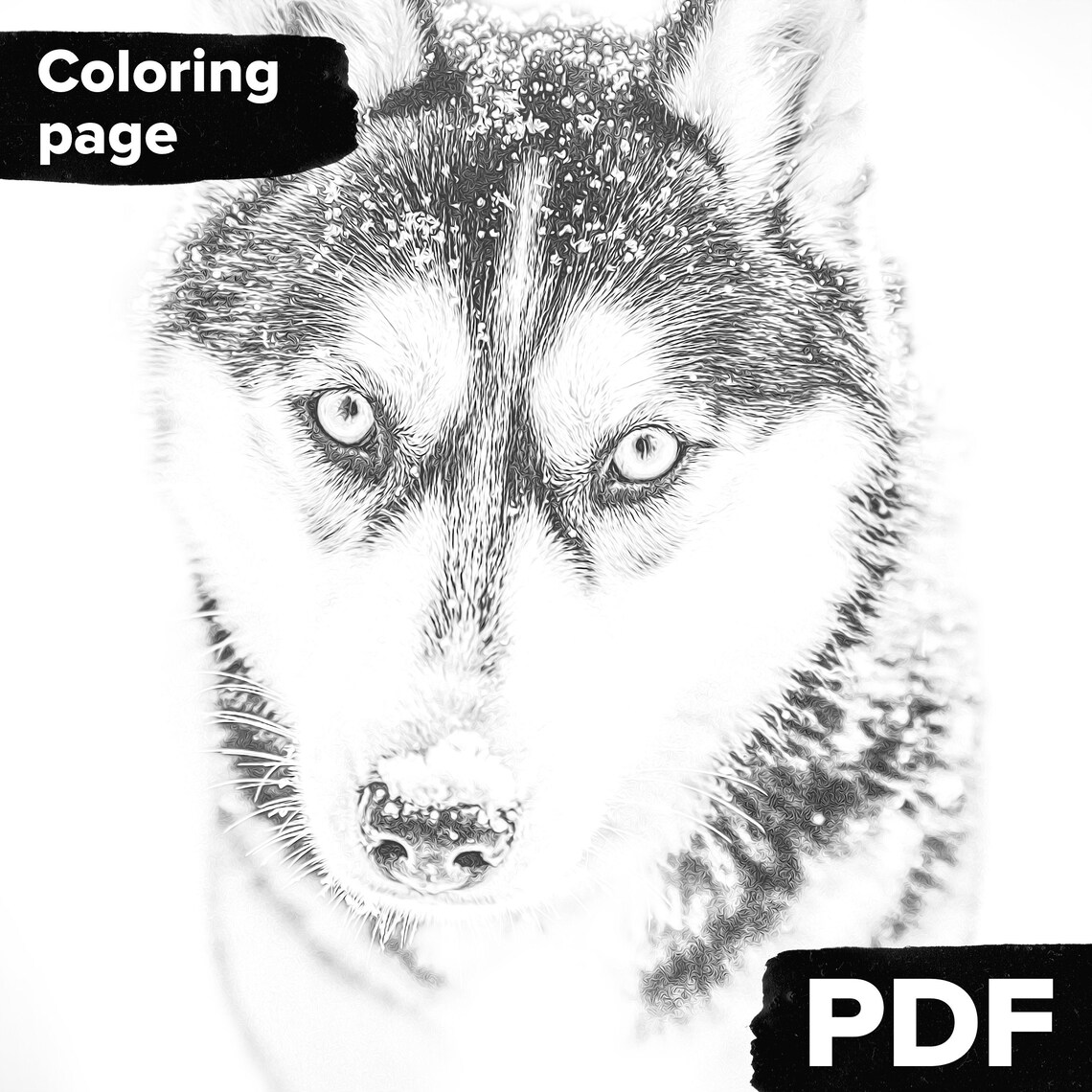 Husky coloring page Adult coloring page realistic for dog | Etsy