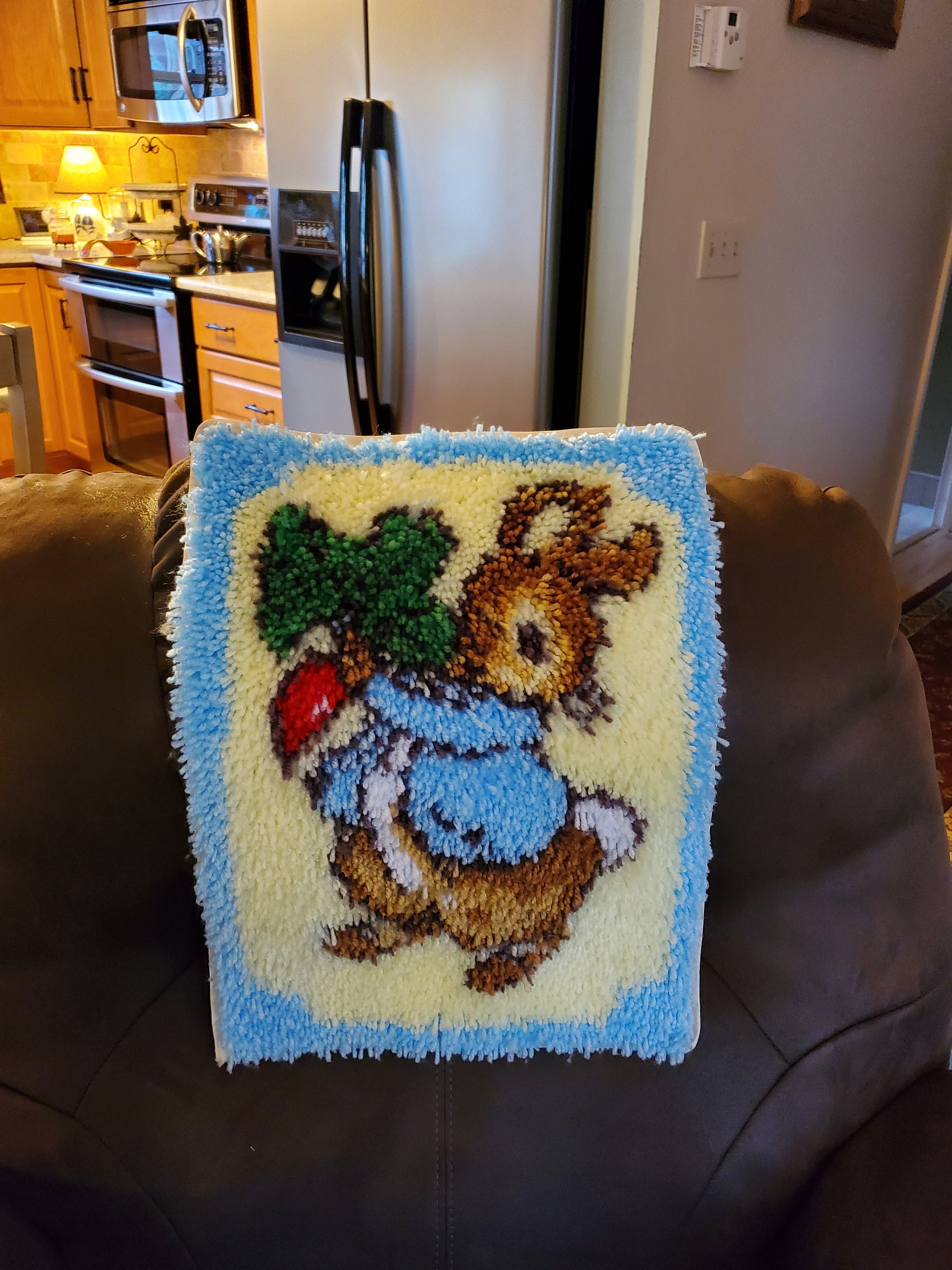 COMPLETED Peter Rabbit Latch Hook Rug Etsy