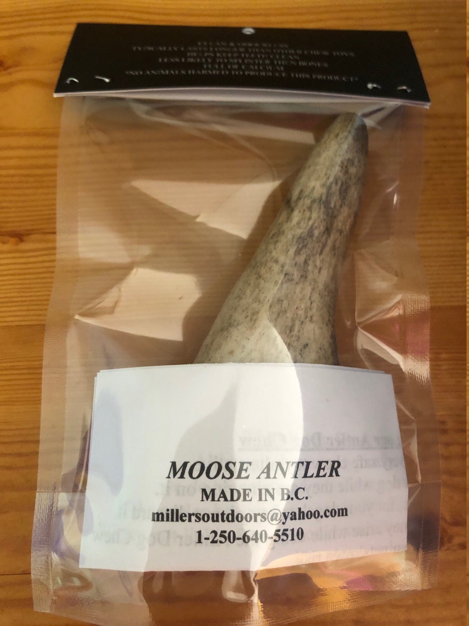 Medium Moose Antler Dog Chews Etsy