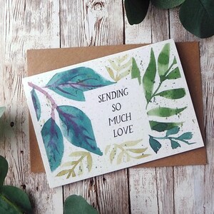 Invio di tanto amore / Disegno botanico ad acquerello dipinto a mano / Biglietto vuoto A6 o A5 / Biglietto d'auguri ecologico gratuito in plastica
