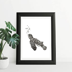 Turtle Print