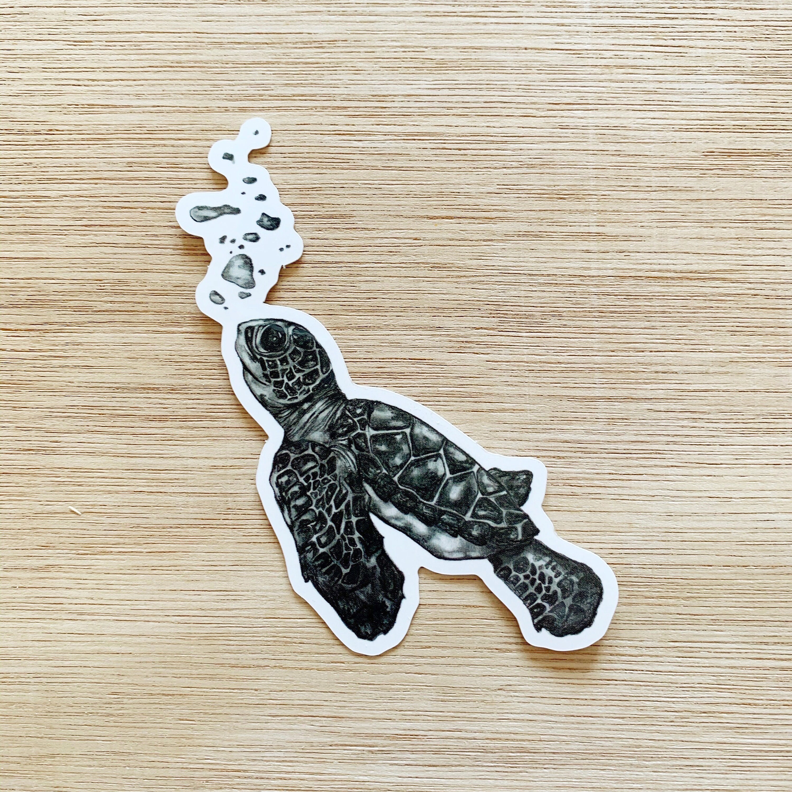 Turtle Sticjer Turtle Sticker - Etsy