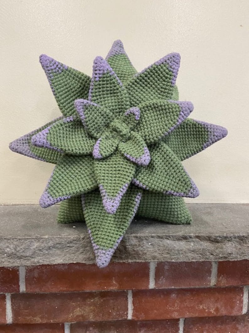 Succulent Pillow Crochet Pattern Etsy