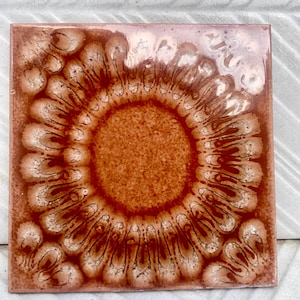 Può includere: Una piastrella in ceramica quadrata con una finitura liscia e lucida, caratterizzata da un cerchio centrale testurizzato color arancio-marrone circondato da un motivo radiante di forme allungate a petalo in tonalità crema, beige e marrone rossiccio.