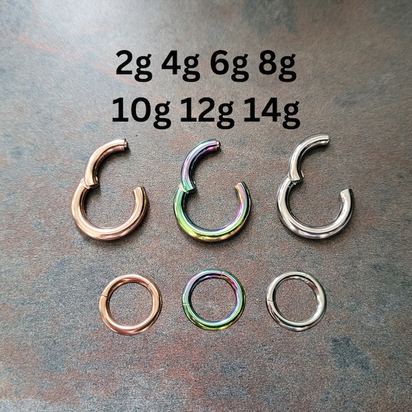 2g 4g 6g 8g Hinged Clicker Segment Ring Hoop Earring Ear Rainbow Rose Gold Steel Big Large Gauge Septum Stretching Kit Piercing 10g 12g 14g