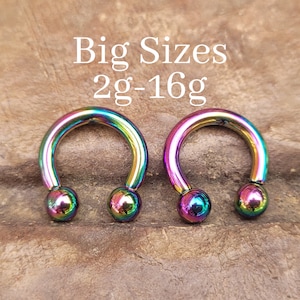 CHOOSE 2 Rainbow Titanium Steel Pinchers Ear Plugs Horseshoes Gauges Septum Stretching Ring 2g 4g 6g 8g 10g 12g 14g 16g Circular Barbell big