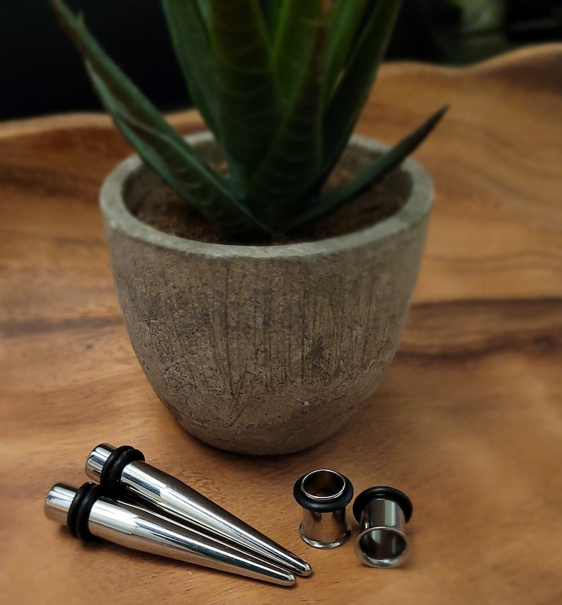 May include: Two silver ear gauges with a pointed end and two black rubber o-rings. The gauges are on a wooden surface next to a small potted plant.