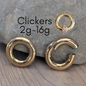 PAIR Gold 2g 4g 6g 8g 10g 12g 14g Hinged Clicker Segment Ring Hoop Earrings Steel Big Gauges Ear Piercing Cartilage plugs men women anodized